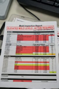 Mold Report Red Flags 
