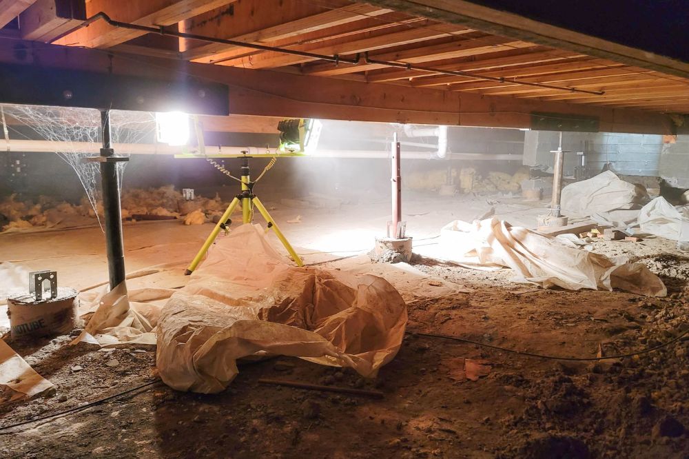Evaluating Crawlspace Aspergillus